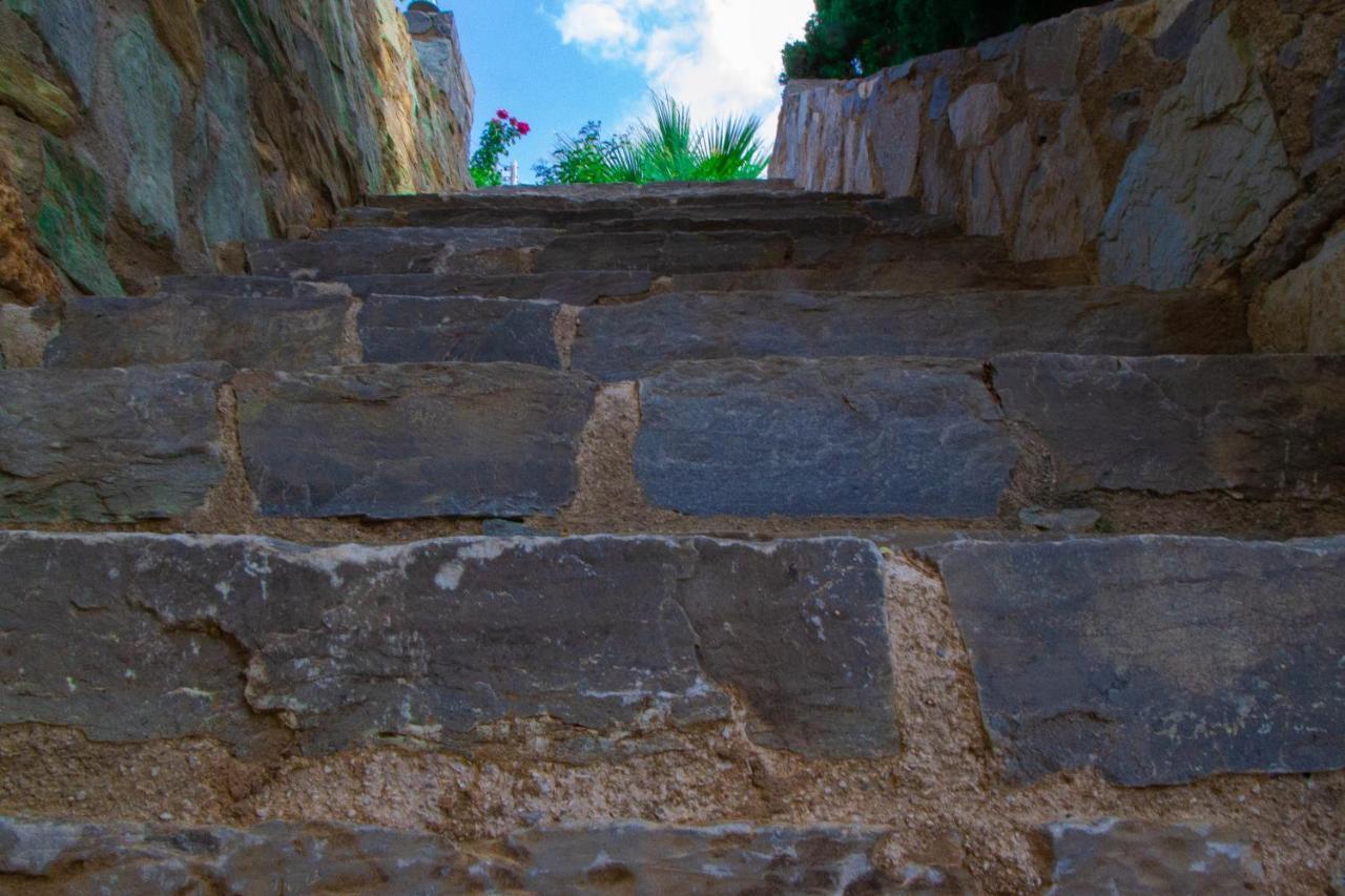 Olenia Residence Agia Pelagia  Esterno foto