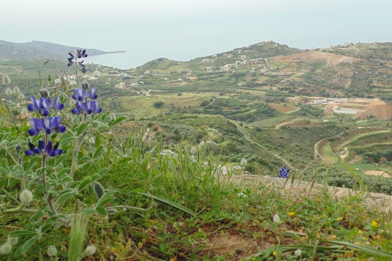 Olenia Residence Agia Pelagia  Esterno foto